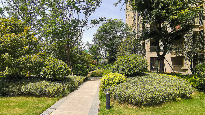 信保春风十里外景图