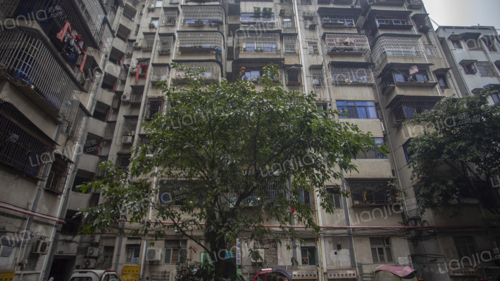 一人巷19号外景图