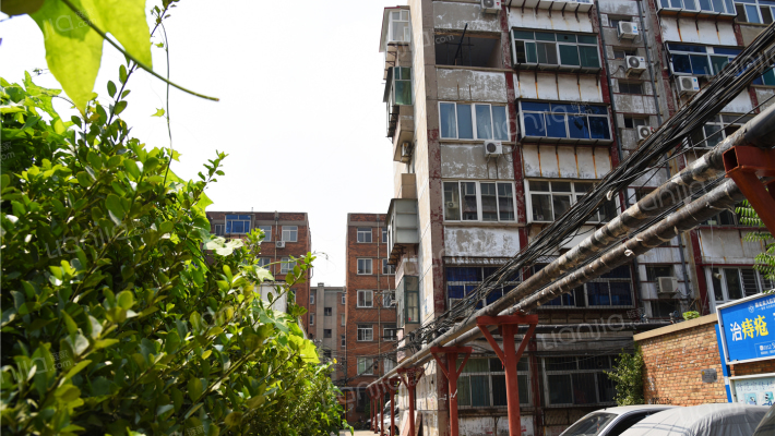 交通局宿舍外景图