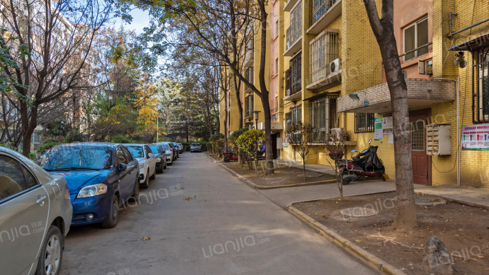 东城桃园外景图