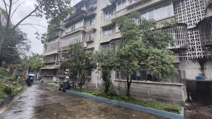 银杏路85号外景图