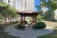 新希望乐城23