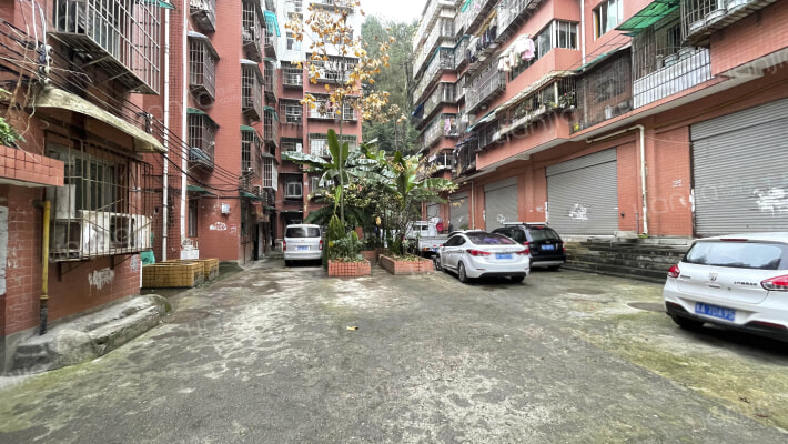 五柳街29号外景图