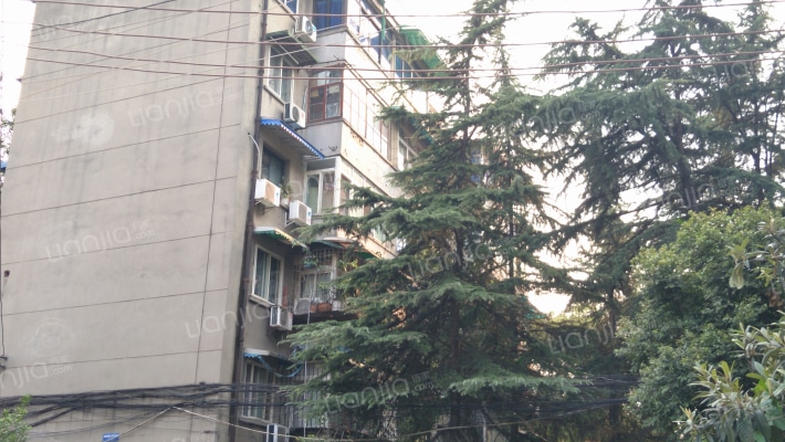 沙湾东一路6号外景图