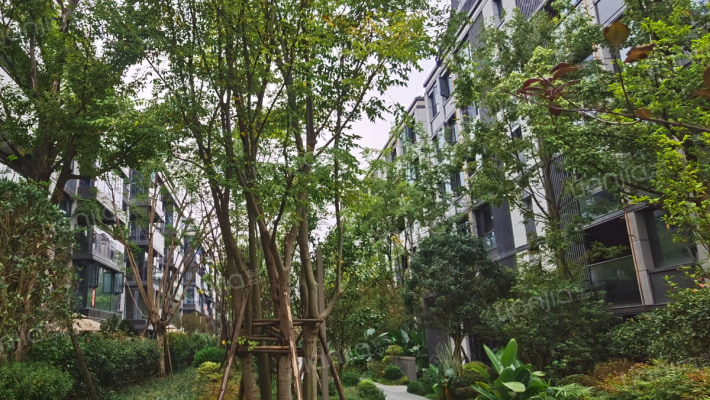 悦湖菁领汇外景图