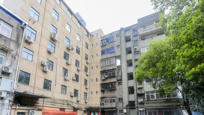 工农路81号外景图