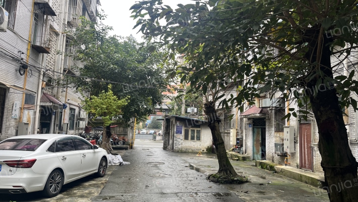 景环四院外景图