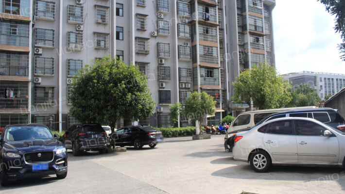 太丰雅苑名校居外景图