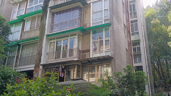 九里香堤外景图