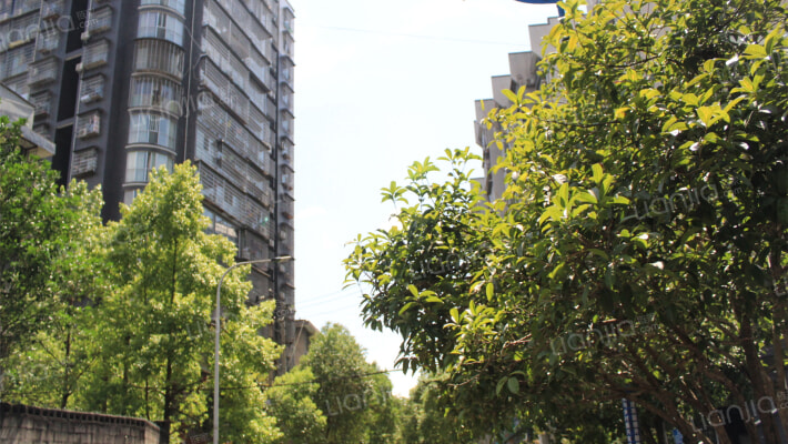 金宏嘉庭外景图