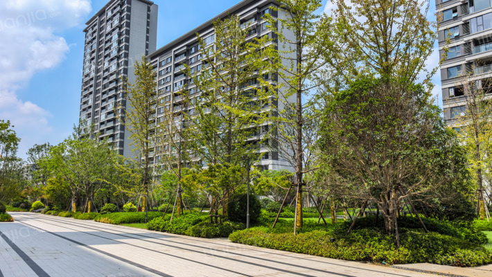 金茂·丹阳国际社区外景图