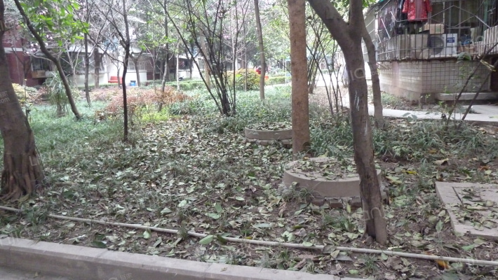 白鹤小区外景图