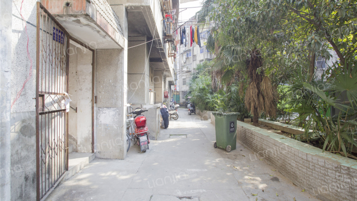 市容局宿舍外景图