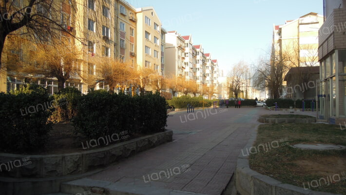 姚胜街小区外景图