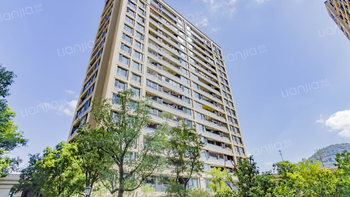 九洲百合外景图