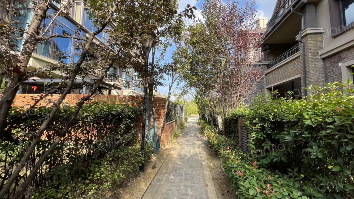 金科半岛壹号达利岛外景图