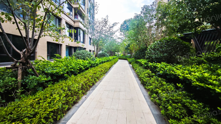 龙湖华董春江天玺外景图