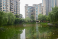 南京恒大绿洲5