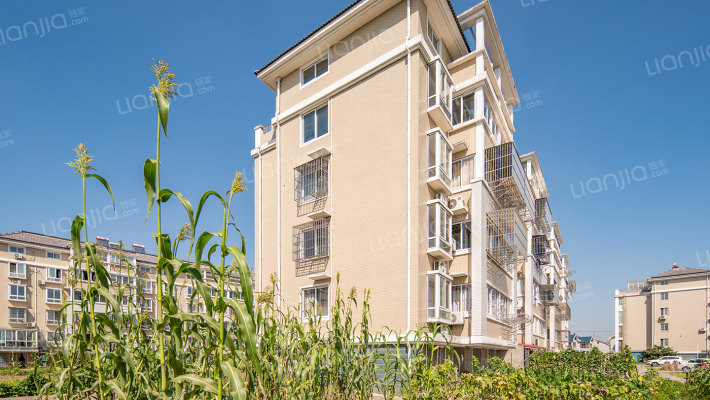 豪港花苑外景图