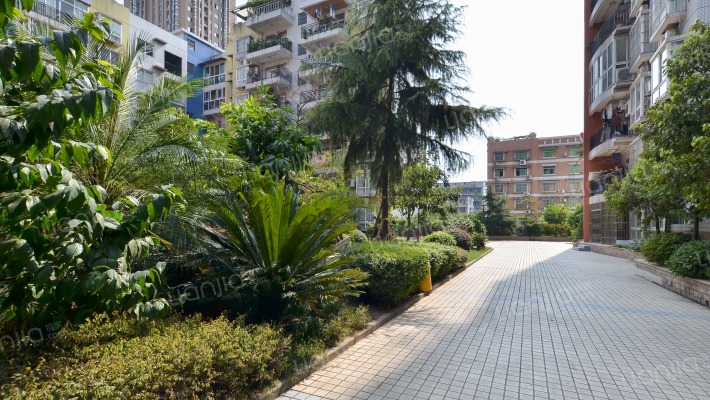 万年锦苑外景图