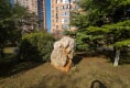 锦泉源D2区49
