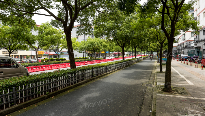乐都路81号外景图