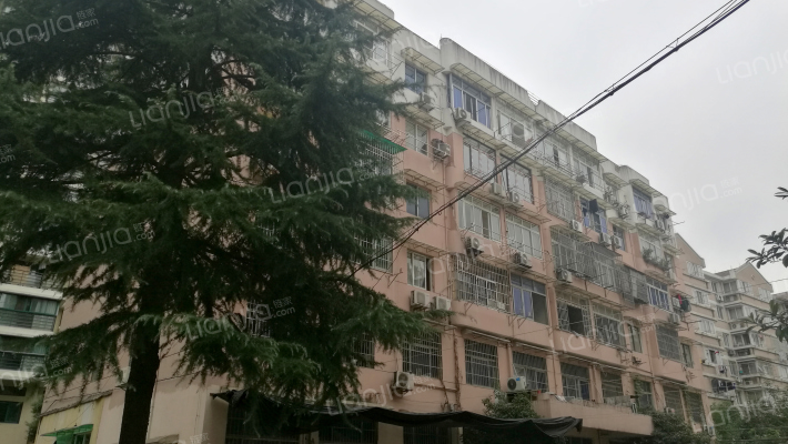 益乐路20号外景图