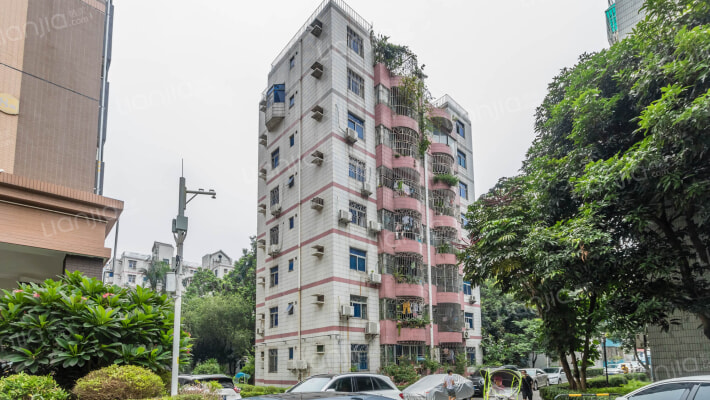 立新湖花园外景图