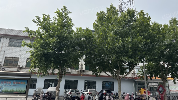 图书馆家属院外景图