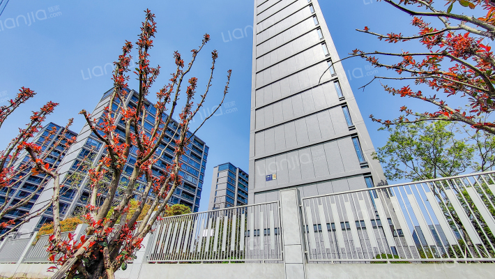 巨成悦都会外景图