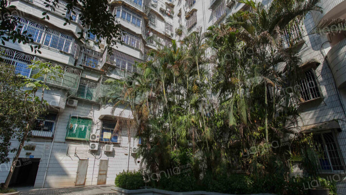 外贸土产新村外景图