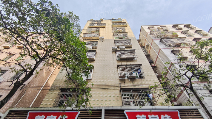 大芬桔子坑外景图