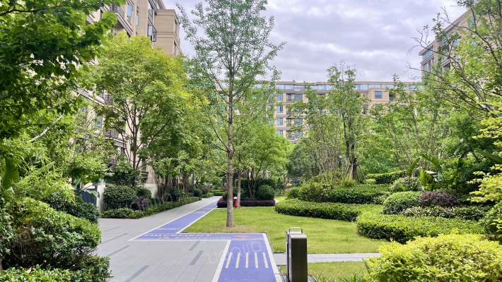 学宸名著T2组团外景图