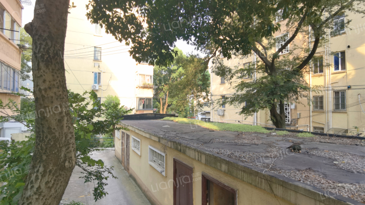 青山一村51-70号外景图