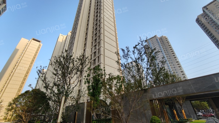 云龙湖金茂府外景图