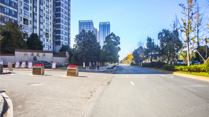 水岸莲华外景图