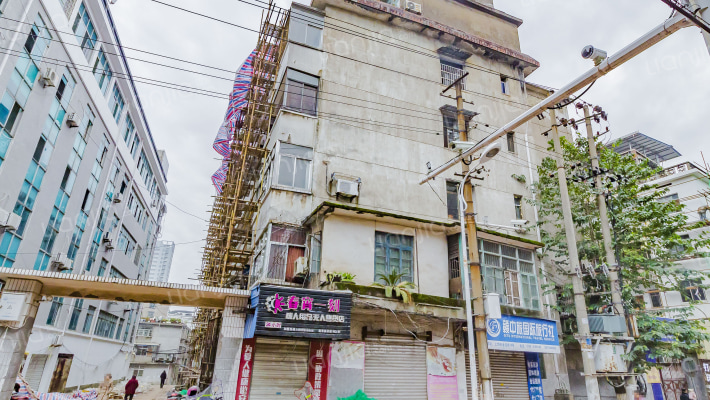 金龙岗路18号外景图