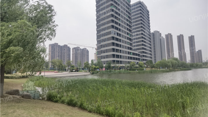 观澜都荟外景图