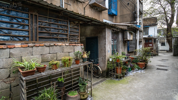 星朗桥河沿外景图