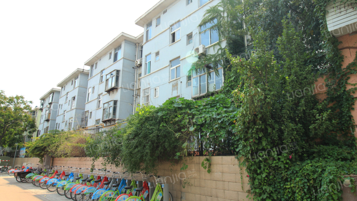 大虞小区外景图