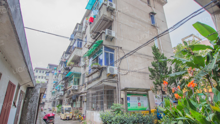 青春路253号外景图