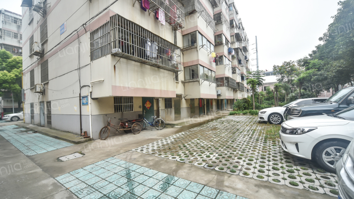 东郊新村虹彩苑外景图