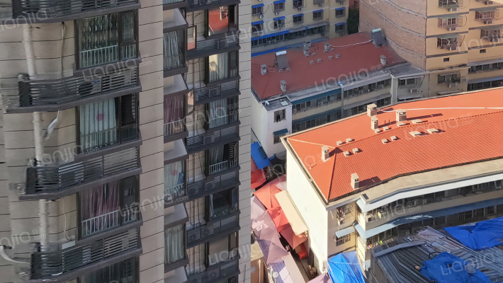 都市春天外景图