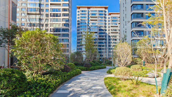 白桦林悦外景图