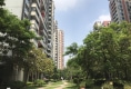 大运城邦1