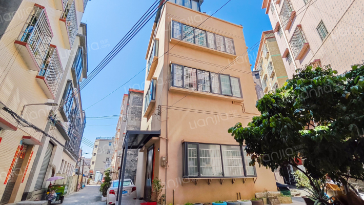 坦洲自建房外景图