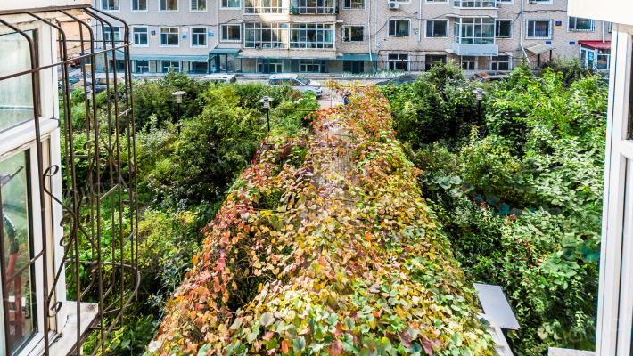 翠海花园外景图