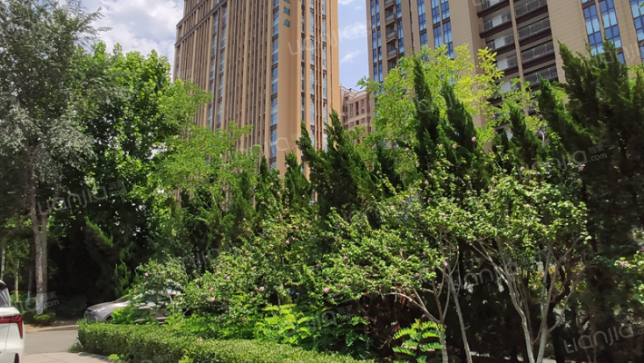 盛世·壹号公馆外景图