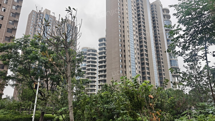 水岸龙玺外景图