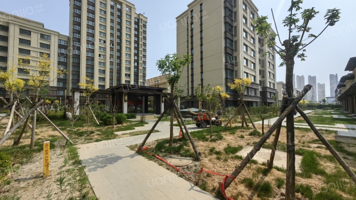 东风路十五栋外景图